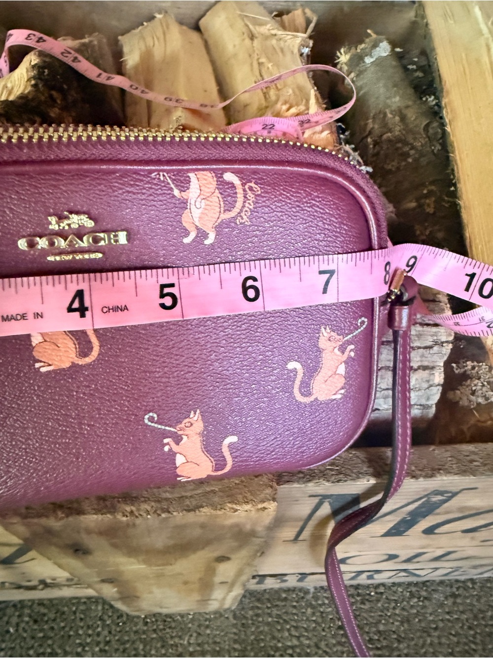 Coach Party Cat Crossbody Pouch - Picture 8 of 10